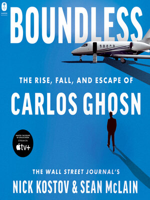 cover image of Boundless